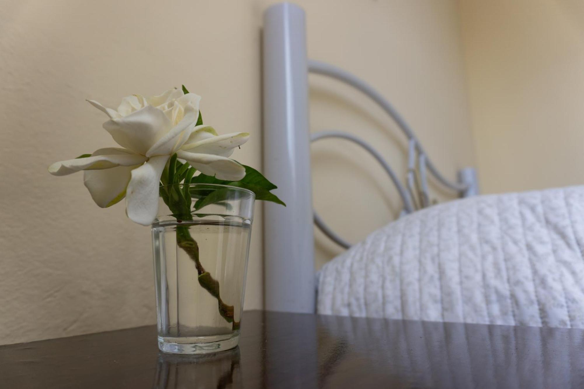 Appartement Mi Casa Es Tu Casa à Melo Extérieur photo